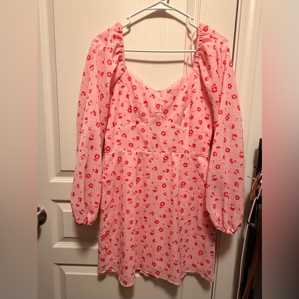 Francesca's Collections Pink and Red Floral Dress